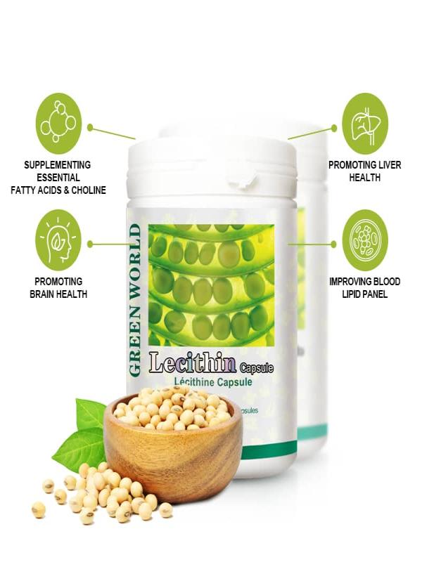 Lecithin Capsule