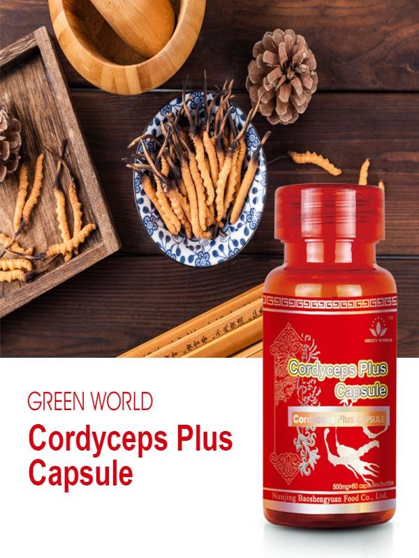 Cordyceps Plus Capsules